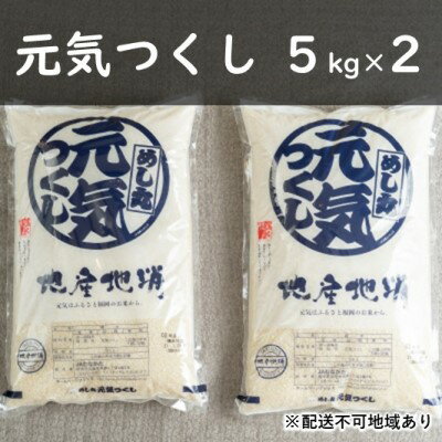 【ふるさと納税】果物屋さんの元気つくし（米）5kg×2袋【配送不可：離島】　【お米】