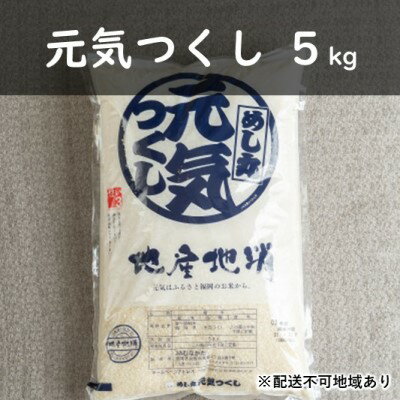 【ふるさと納税】果物屋さんの元気つくし（米）5kg【配送不可：離島】　【お米】