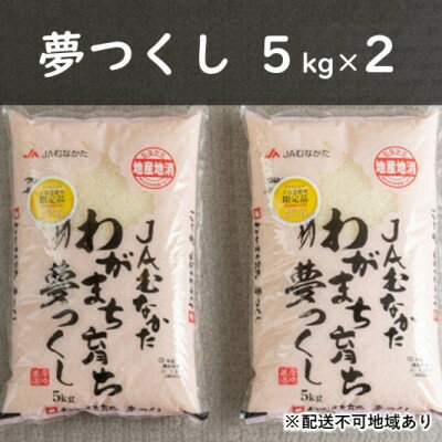 【ふるさと納税】果物屋さんの夢つくし（米）5kg×2袋【配送不可：離島】　【お米】