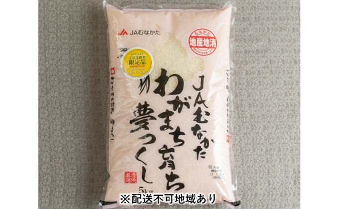 【ふるさと納税】果物屋さんの夢つくし（米）5kg【配送不可：離島】　【お米】