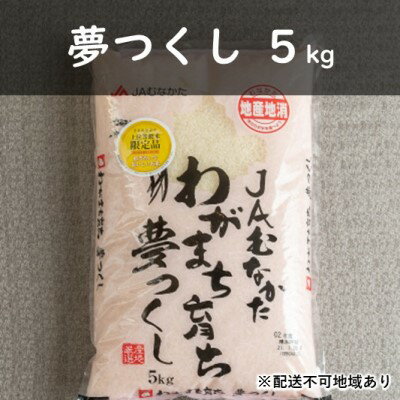 【ふるさと納税】果物屋さんの夢つくし（米）5kg【配送不可：離島】　【お米】