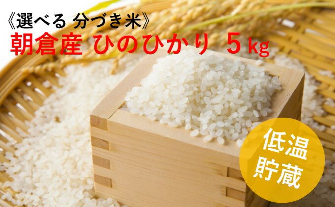 【ふるさと納税】福岡県 朝倉市産のお米「ひのひかり」5kg（8分・5分・3分・玄米からお選びいただけます）　【お米・ヒノヒカリ・ひのひかり・玄米・5kg】