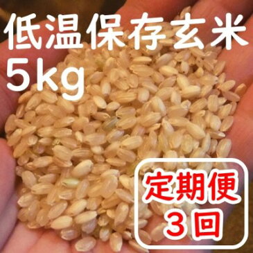 【ふるさと納税】定期便3回 お米（玄米）5kg　【定期便・玄米・お米・ビタミン・ミネラル・食物繊維・低温保存管理】