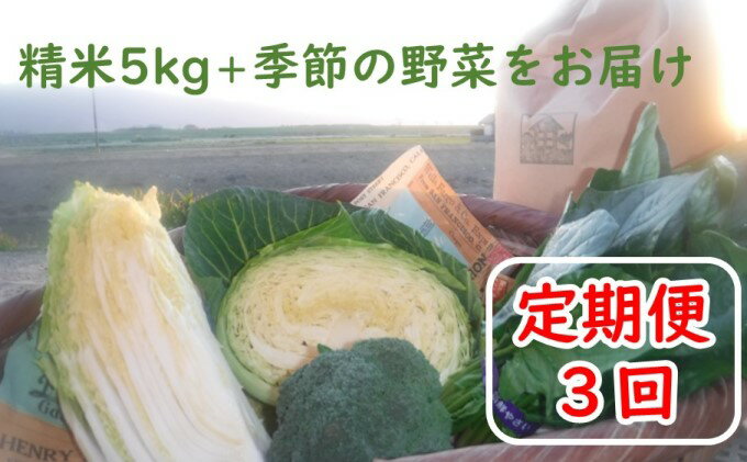 【ふるさと納税】定期便3回 お米（精米）5kgと季節の お野菜 セット　【定期便・お米・野菜・セット・詰合せ・上白米・低温保存米・お野菜セット・精米】