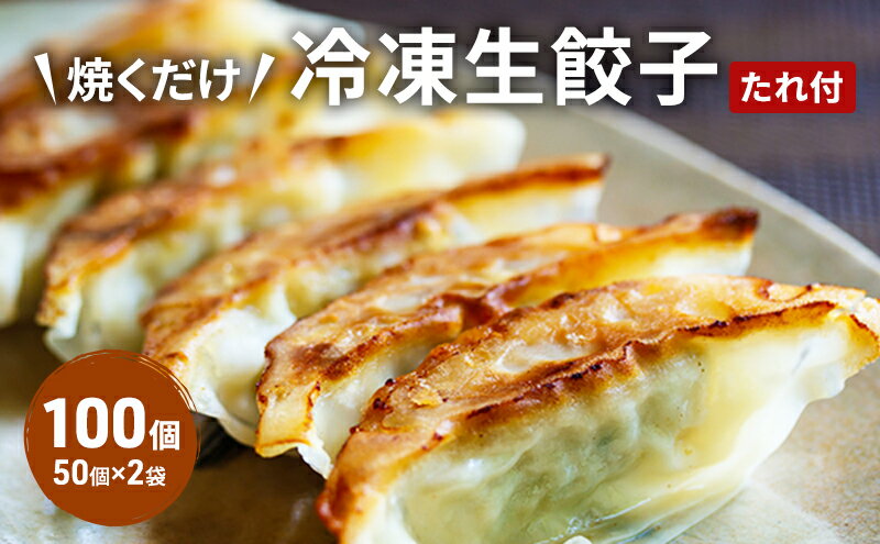 【ふるさと納税】餃子 セット 100個 (50個×2袋) 餃子のタレ付 生餃子 ぎょうざ ギョウザ 肉 にく お肉 加工品 一品香甘木店 ※配送不可：離島