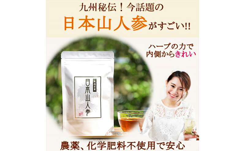 【ふるさと納税】★希少★日本山人参茶30包入り×3袋 飲料類 お茶 野菜/人参