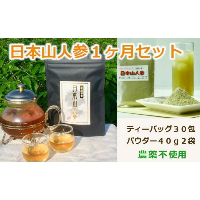 【ふるさと納税】★希少★日本山人参で健康に！1か月分セット！　【飲料類・お茶・野菜/人参】