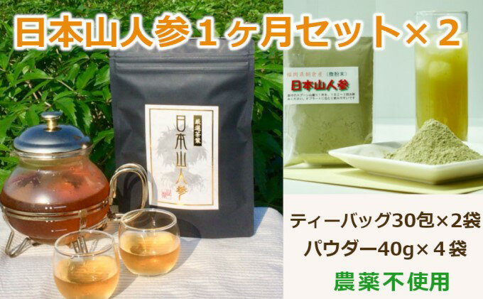 【ふるさと納税】★希少★日本山人参で夫婦で健康に！1か月分セット×2　【飲料類・お茶・野菜/人参】