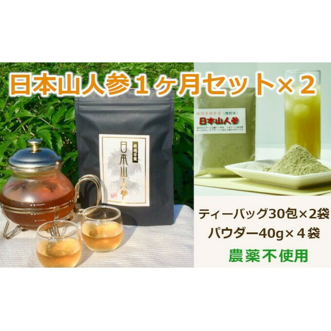 【ふるさと納税】★希少★日本山人参で夫婦で健康に！1か月分セット×2　【飲料類・お茶・野菜/人参】