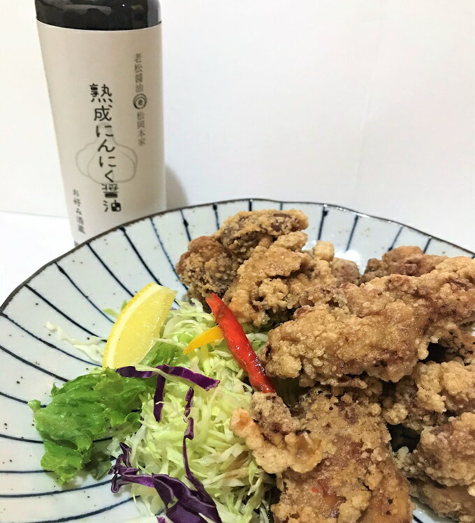 はごろもフーズ　万能だしパック　1Kg（50g×20袋）×10P（P2,055円税別）常温　業務用　ヤヨイ