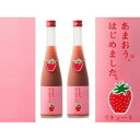 【ふるさと納税】あまおう梅酒　500ml×2本　＜篠崎＞　【お酒・洋酒・リキュール類】