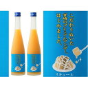 13位! 口コミ数「0件」評価「0」マンゴー梅酒　500ml×2本　＜篠崎＞　【お酒・洋酒・リキュール類】