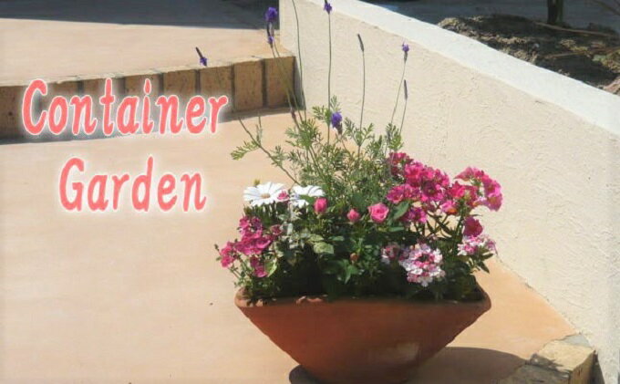 【ふるさと納税】可愛いピンクのお花たっぷりの寄せ植え