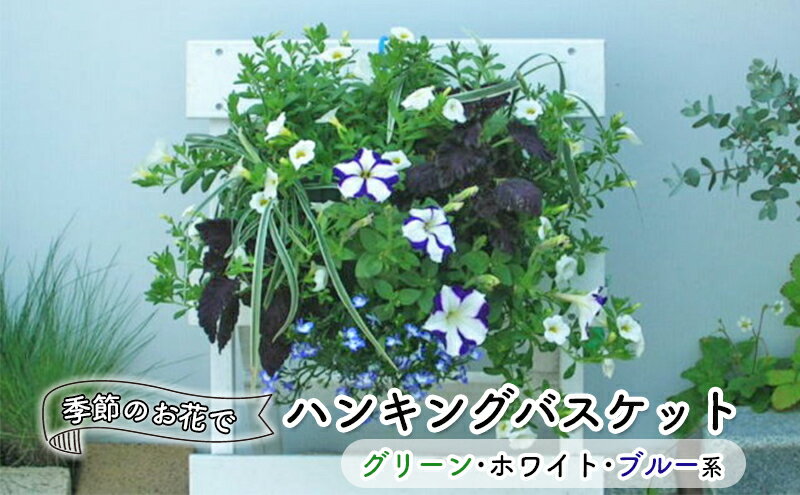 【ふるさと納税】花 季節のお花でハンキングバスケット グリーン・ホワイト・ブル...