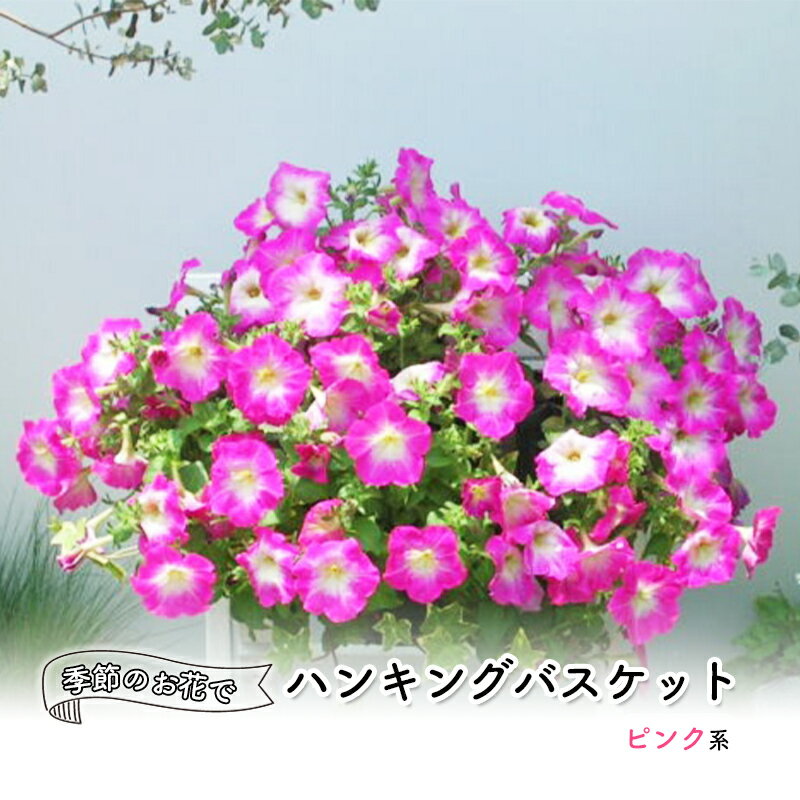 花 季節のお花でハンキングバスケット ピンク系 植物 ガーデニング ガーデン インテリア