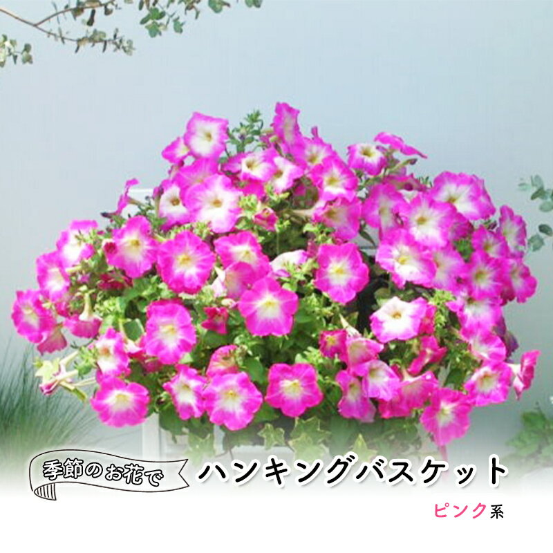 【ふるさと納税】花 季節のお花でハンキングバスケット ピンク系 植物 ガーデニング ガーデン インテリア　【朝倉市】