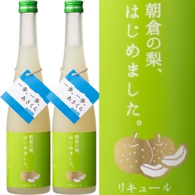 【ふるさと納税】梨梅酒 500ml×2本　【お酒・梨・ナシ・果物・フルーツ】