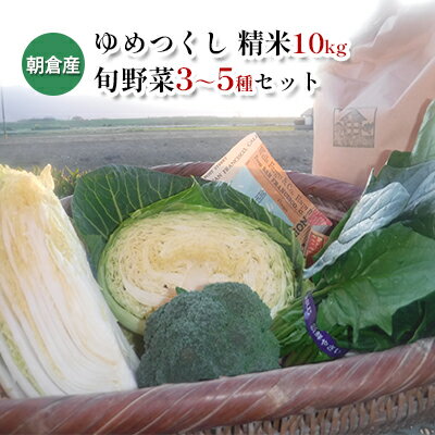 【ふるさと納税】米 10kg 季節野菜 セット 精米 ゆめつくし　【お米・野菜・セット・詰合せ】