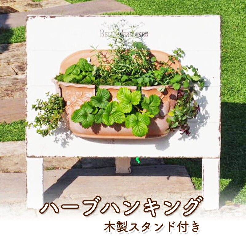 植物 ハーブのハンキング 木製スタンド付き ハーブ インテリア ガーデン　