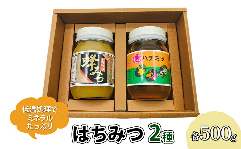 【ふるさと納税】はちみつ セット 各500g×2個 レンゲブレンド 野山のハチミツ 詰め合わせ 食べ比べ 蜂蜜 ハチミツ　【朝倉市】