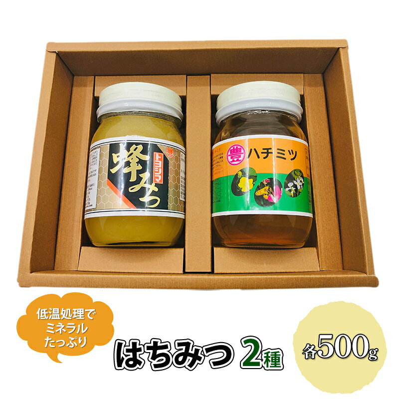 【ふるさと納税】はちみつ セット 各500g×2個 レンゲブレンド 野山のハチミツ 詰め合わせ 食べ比べ 蜂蜜 ハチミツ　【朝倉市】