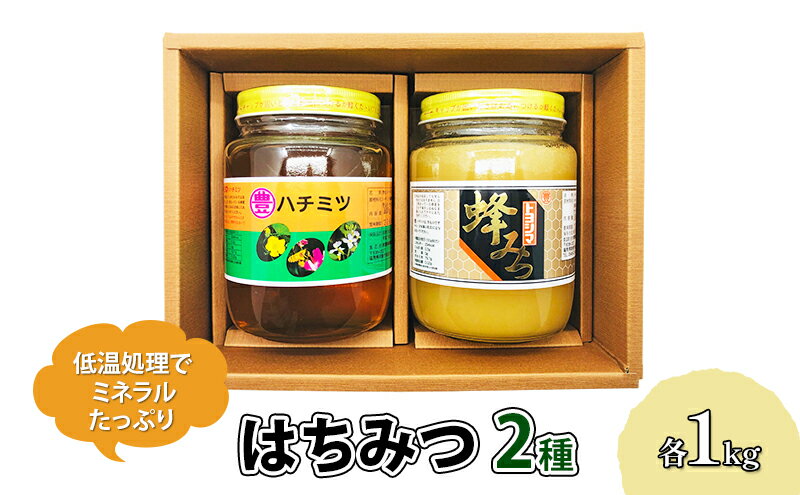 【ふるさと納税】はちみつ セット 各1kg×2個 レンゲブレンド 野山のハチミツ 詰め合わせ 食べ比べ 蜂蜜 ハチミツ　【朝倉市】