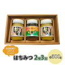 はちみつ セット 2種 レンゲブレンド 500g×2個 野山のハチミツ 500g×1個 詰め合わせ 食べ比べ 蜂蜜 ハチミツ　