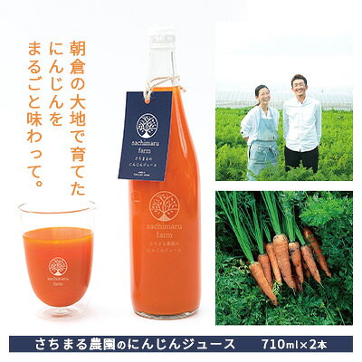 ジュース にんじん さちまる農園のにんじんジュース 710ml×2本 果汁飲料 野菜飲料 人参 ミックスジュース