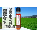 【ふるさと納税】【-うま味と辛味が際立つ-めんたいドレッシング】（標準サイズ200ml）24本セット　【調味料】