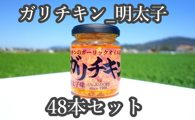 【ふるさと納税】★48本セット★【ガリチキン-明太子味】チキンのガーリックオイル漬け_明太子味（標準サイズ110g） 調味料 缶詰