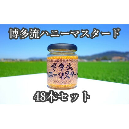 ★48本セット★【博多流ハニーマスタード】（標準サイズ130g）　【調味料・缶詰】