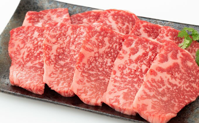 【ふるさと納税】井上牧場 朝倉和牛　赤身焼肉用　400g ※配送不可：離島 お肉 牛肉 バーベキュー f402281-asakura-10001359 福岡県朝倉市 サンプル画像3