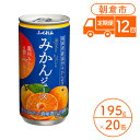 21位! 口コミ数「0件」評価「0」定期便 12回 みかんジュース ふくれん 福岡県の郷土ジュース！1ケース 20缶入り※配送不可：北海道・沖縄・離島 　【定期便・果汁飲料・野･･･ 