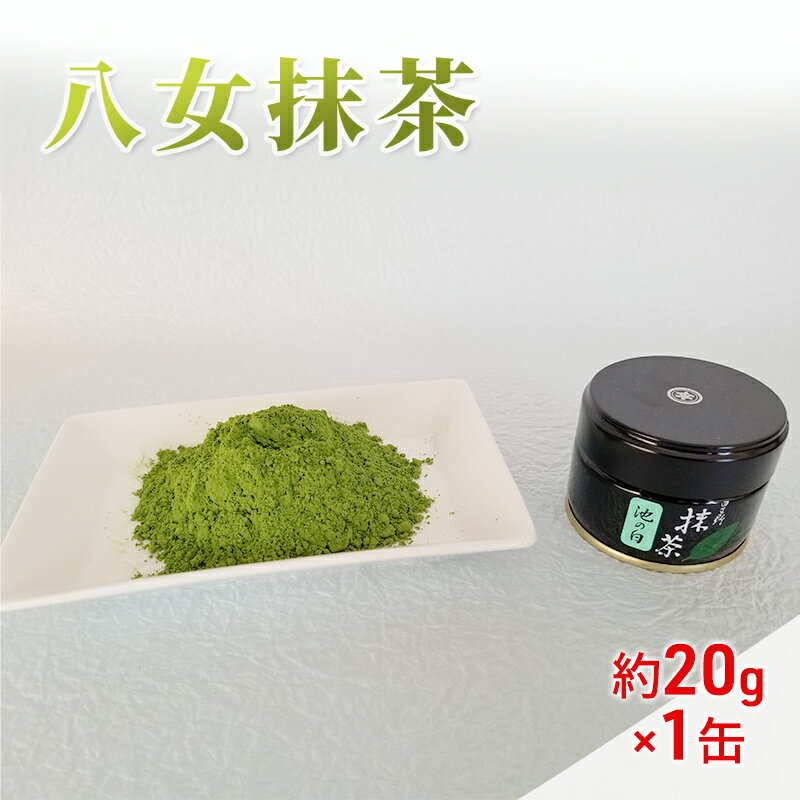 【ふるさと納税】八女茶 約20g×1缶 粉末 粉末茶 お茶 星野 本格派抹茶 抹茶のサムネイル