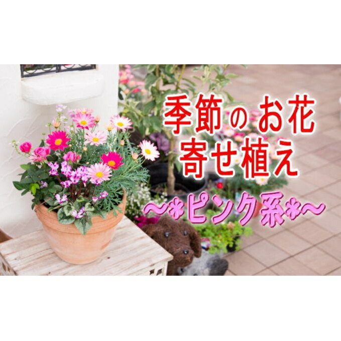 季節のお花寄せ植え(赤・ピンク系)　