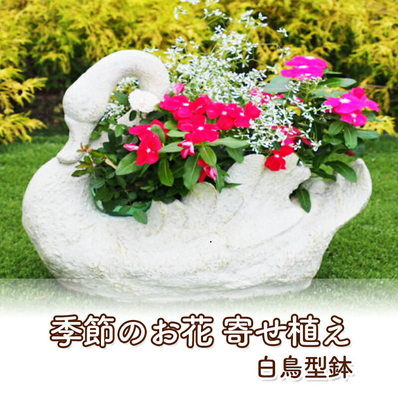 花 寄せ植え 季節のお花 白鳥型鉢 植物 ガーデン インテリア