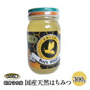 【ふるさと納税】はちみつ 国産 天然蜂蜜 れんげ 蜜 300g 朝倉市 甘水産 蜂蜜