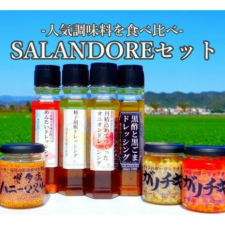 【ふるさと納税】SALANDOREセット(人気調味料詰め合わせ)　ドレッシング 4種 & ガリチキン 2種& ハニーマスタード　【ドレッシング・たれ・調味料・缶詰】のサムネイル