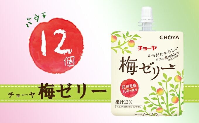 【ふるさと納税】チョーヤ 梅ゼリー パウチ180g 12個 梅果汁13％ クエン酸1000mg　【 お菓子 ゼリー ジュレ 梅ゼリー パウチ おやつ 子供 】