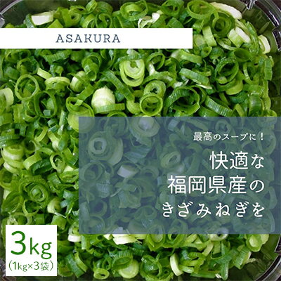 野菜 カット ねぎ 3kg（1kg×3袋）長ネギ 配送不可エリア有り　【野菜・ねぎ】