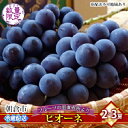 【ふるさと納税】フルーツの里の直売所より ピオーネ【配送不可:離島】 果物 ぶどう お届け:2025年8月20日~9月10日