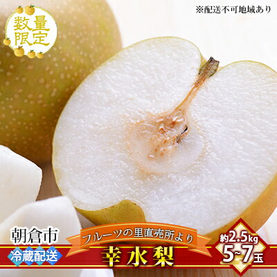 【ふるさと納税】梨 フルーツの里の直売所より 幸水梨 2.5kg お届け：2023年7月26日～8月20日　【 梨 ナシ 果物 フルーツ 先行予約 子供 おやつ くだもの 】　お届け：2024年7月20日～8月10日のサムネイル