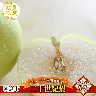 【ふるさと納税】フルーツの里の直売所より 二十世紀梨 2.5kg　梨・ナシ・果物・フルーツ・先行予約　お届け：2024年8月20日～9月10日のサムネイル
