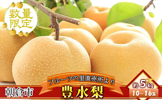 【ふるさと納税】フルーツの里の直売所より 豊水梨 5kg ナシ 果物 先行予約 　お届け：2026年9月1日～9月20日