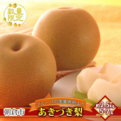 【ふるさと納税】梨 フルーツの里の直売所より あきづき梨 2.5kg お届け:2024年9月10日~9月30日 ナシ 46玉 果物 先行予約 子供 おやつ くだもの お届け:2025年9月10日~9月30日 【ふるさと納税】梨 フルーツの里の直売所より あきづき梨 2.5kg お届け:2024年9月10日~9月30日 ナシ 46玉 果物 先行予約 子供 おやつ くだもの お届け:2025年9月10日~9月30日