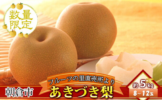 【ふるさと納税】フルーツの里の直売所より あきづき梨 5kg ナシ 果物 先行予約 　お届け：2026年9月10日～9月30日