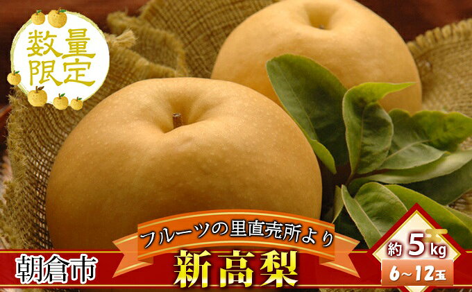 【ふるさと納税】フルーツの里の直売所より 新高梨 5kg ナシ 果物 先行予約 　お届け：2026年10月1日～10月31日
