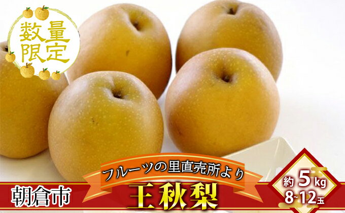 【ふるさと納税】フルーツの里の直売所より 王秋梨 5kg ナシ 果物 先行予約 　お届け：2026年11月15日～12月10日