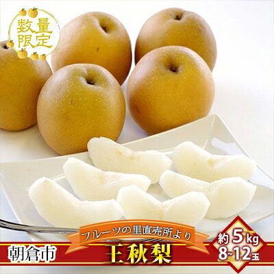 【ふるさと納税】フルーツの里の直売所より 王秋梨 5kg ナシ 果物 先行予約 　お届け：2024年11月20日～12月10日のサムネイル