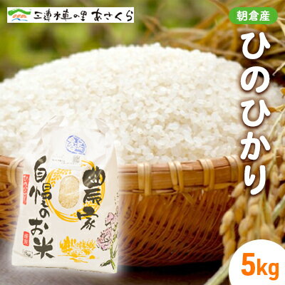 米 令和5年度 ひのひかり 5kg　【お米・ヒノヒカリ】　お届け：2024年10月20日～2025年3月31日